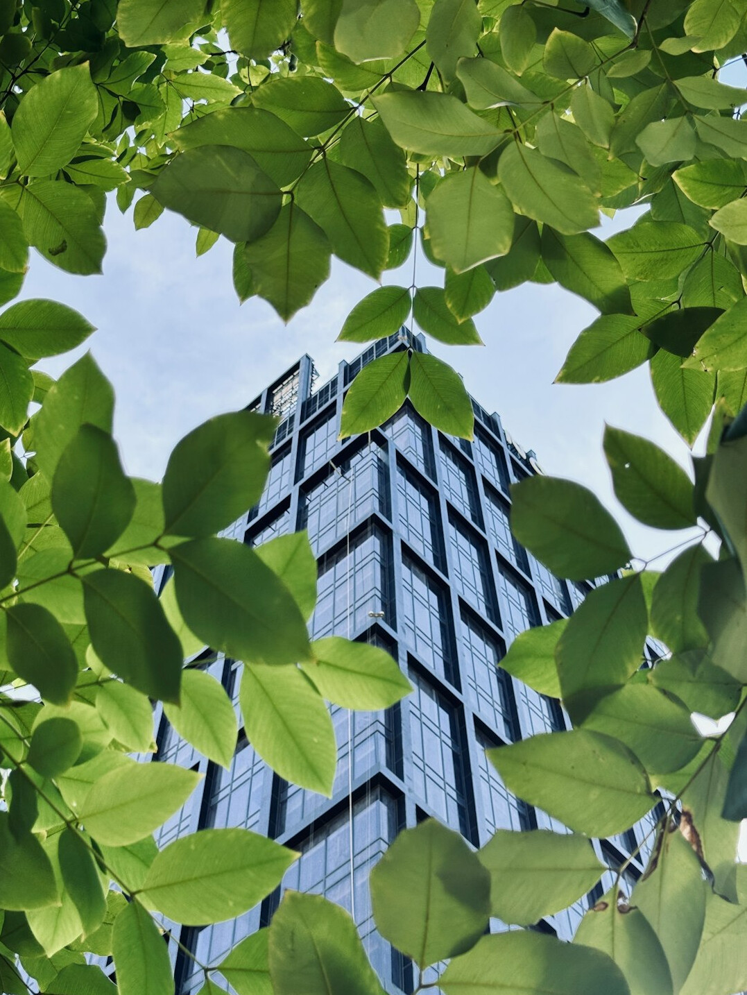Modern office building facade with a green leaf logo