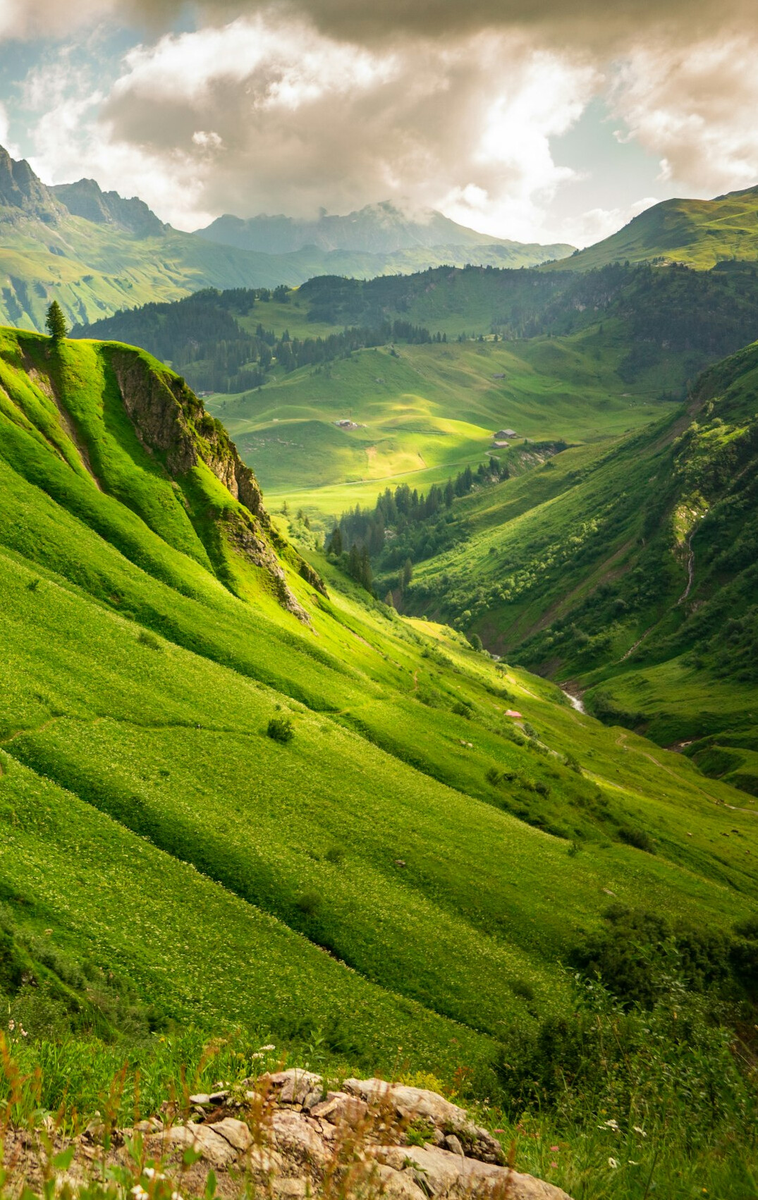 green swiss landscape with digital files