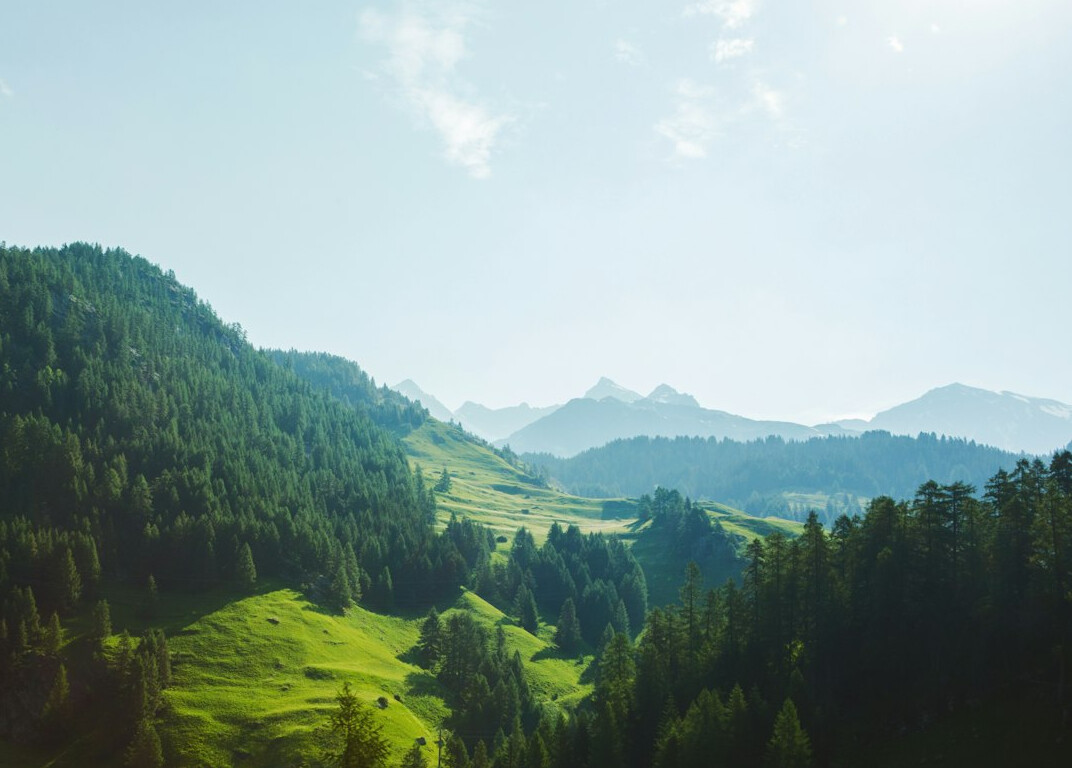 swiss green files sustainable system