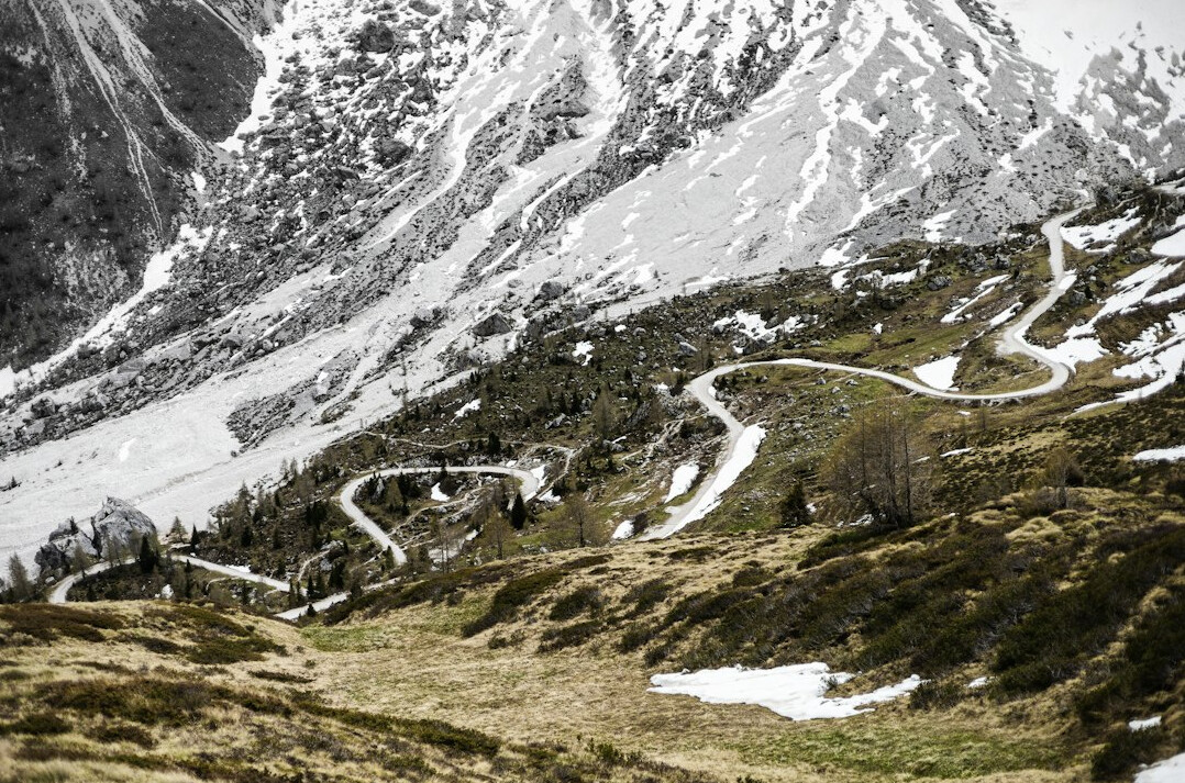 swiss alpine nature