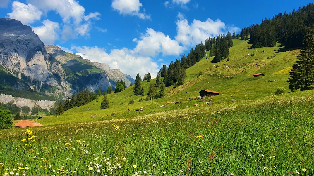 swiss mountains landscape